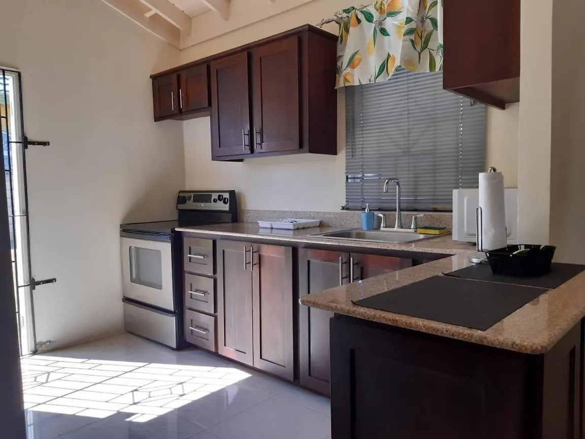 Bing'S Home Away From Home Ocho Rios